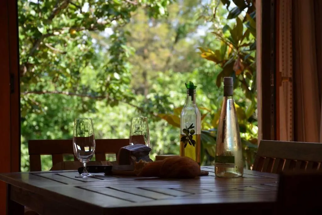 The Zen With Heated Pool Villa Hrboki Holiday home